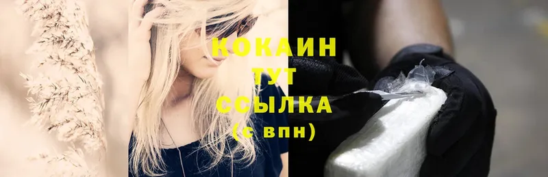 COCAIN FishScale  Луховицы 